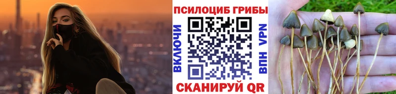 Псилоцибиновые грибы Magic Shrooms  Химки 