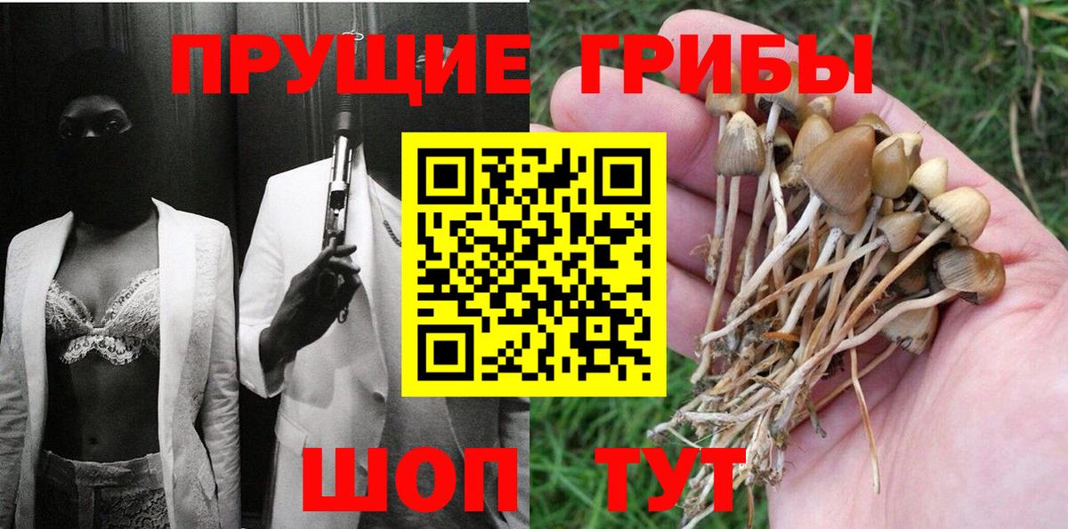 ГАШ Химки