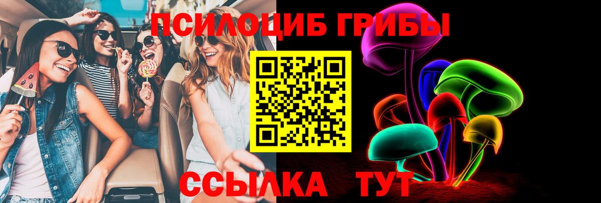 Псилоцибиновые грибы Psilocybe  Вход с VPN  Химки  Псилоцибиновые грибы MAGIC MUSHROOMS 